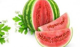 崔十八吃瓜星,揭秘娛樂圈幕后風云