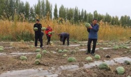 吃瓜群眾燕京理工,揭秘校園生活與學術風采