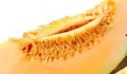 吃蜜瓜嘴出血,吃瓜嘴出血的尷尬體驗