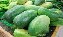 瓜吃瓜睡,吃瓜、睡覺，享受悠閑時光