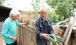 吃瓜老村長,揭秘鄉村生活的酸甜苦辣