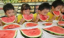 幼兒吃蘭瓜行嗎,幼兒食用蘭瓜的安全性探討