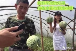 天真吃瓜群眾直播,天真吃瓜群眾帶你領略直播界的歡樂與瘋狂