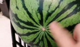 到了吃瓜的季節,暢享清涼吃瓜季