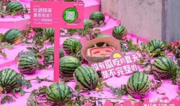 b站吃瓜,一場網絡狂歡背后的真相