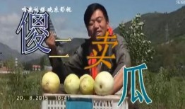 傻二吃瓜,揭秘娛樂圈那些不為人知的幕后故事