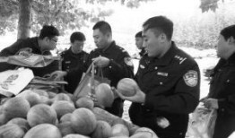 公安吃瓜,網絡輿論場中的監督與反思