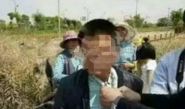 江蘇鹽城吃瓜事件始末,一場(chǎng)網(wǎng)絡(luò)輿論的風(fēng)波與反思