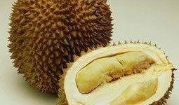 酥瓜孕婦可以吃嗎,安全與營養(yǎng)兩不誤