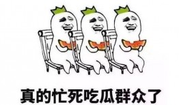 吃瓜都用什么網(wǎng)絡(luò)用語,揭秘網(wǎng)絡(luò)吃瓜用語背后的趣味與智慧