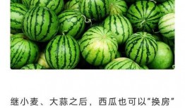 網課在線吃瓜,在線“吃瓜”成潮流